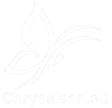 chatgpt image 3 déc. 2025, 12 54 38